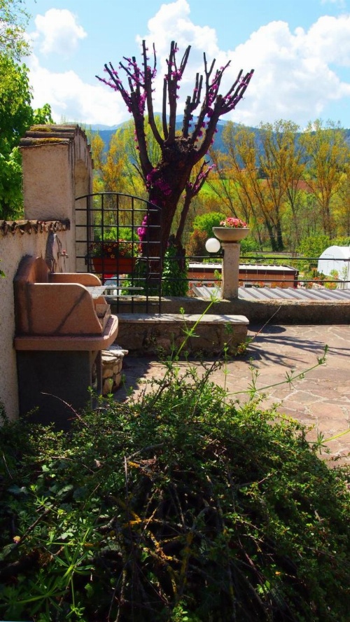 Casale Mammarella image 10