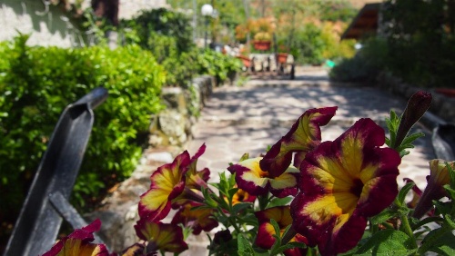 Casale Mammarella image 3