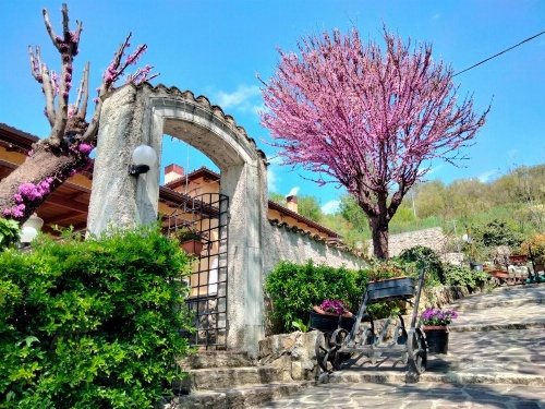 Casale Mammarella image 5